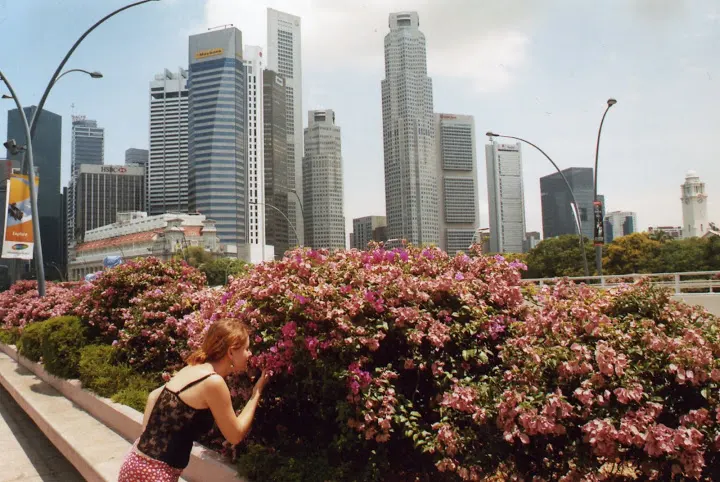 Singapur — zdjęcie z wyjazdu 1